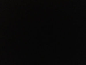 Meet your Posher, Alan